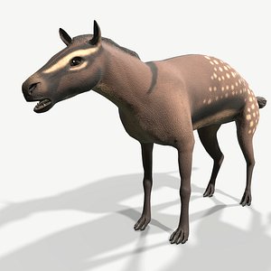 hyracotherium rig 3D model