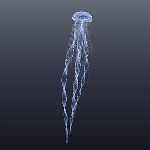 Jellyfish blue