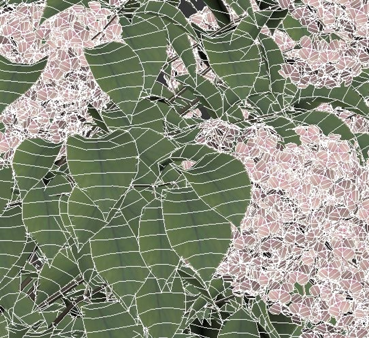 hydrangea paniculata 3D model https://p.turbosquid.com/ts-thumb/Iq/SGXh61/qBrYaFG5/geometry/jpg/1535959111/1920x1080/fit_q87/75ed6cffc19b7c95dda9a4da58905ebb7f7d4e3f/geometry.jpg