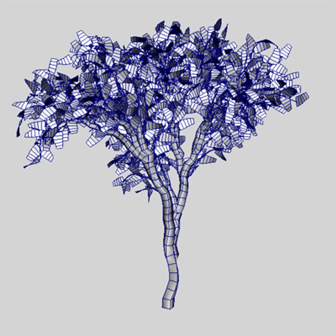 3d birch tree