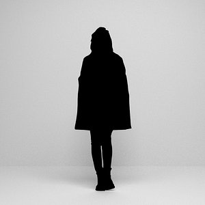 silhouette scenes 3D model