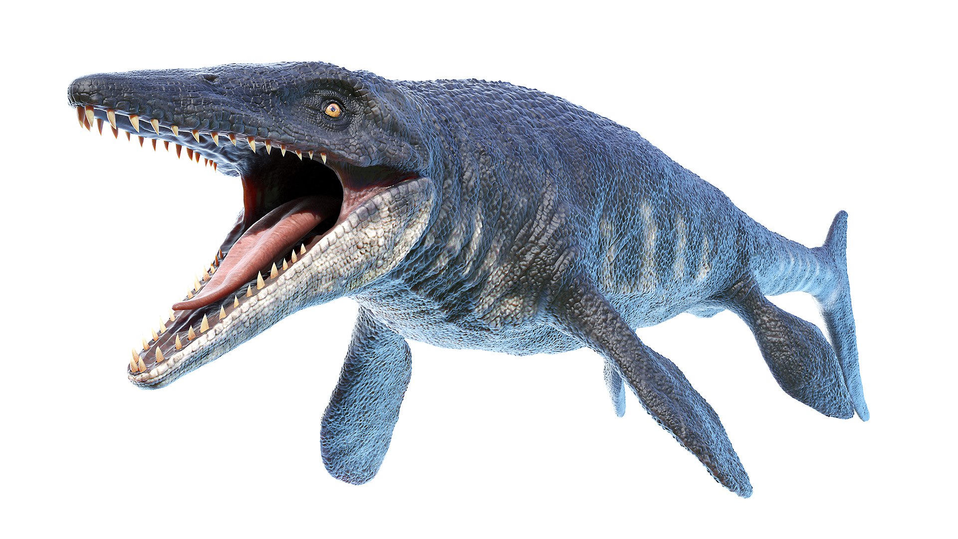 3D dinopack https://p.turbosquid.com/ts-thumb/Iq/aZWgbF/34/tylosaurus0000/jpg/1610551249/1920x1080/fit_q87/529998d03aef5482aef7a2ce38868217cf9bd505/tylosaurus0000.jpg