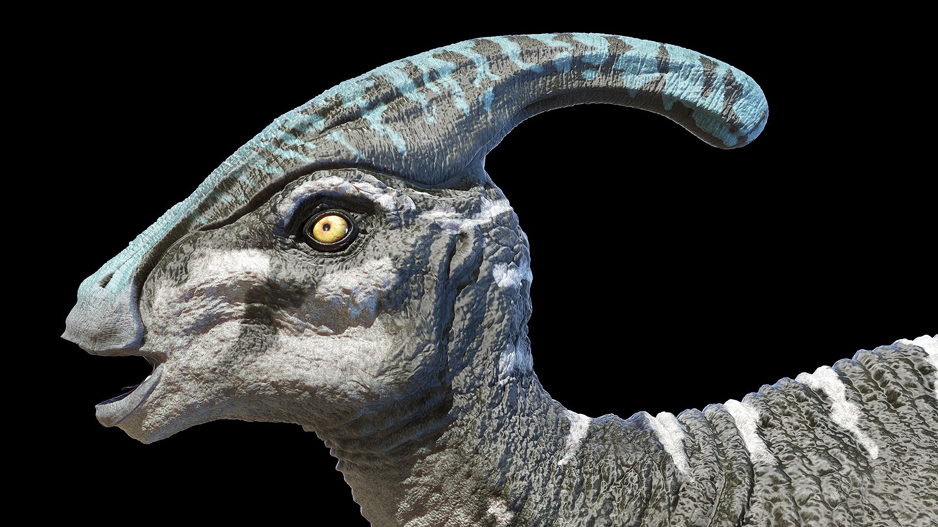 3D dinopack https://p.turbosquid.com/ts-thumb/Iq/aZWgbF/AL/parasaurolophus0005/jpg/1610550781/1920x1080/fit_q87/05f829041a0b5a6c68b39669d70d1914879ba67a/parasaurolophus0005.jpg