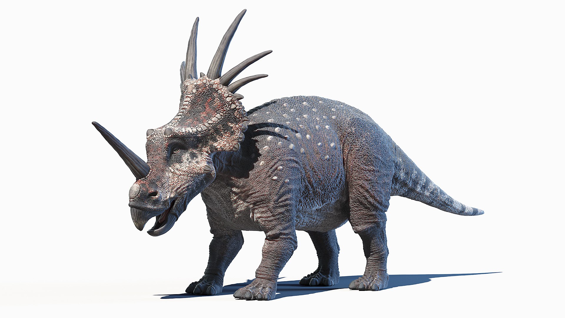 3D dinopack https://p.turbosquid.com/ts-thumb/Iq/aZWgbF/Cs/styracosaurus0001/jpg/1610551030/1920x1080/fit_q87/af1435dff8e8d0f31c205b6596d3f2aab17dc621/styracosaurus0001.jpg