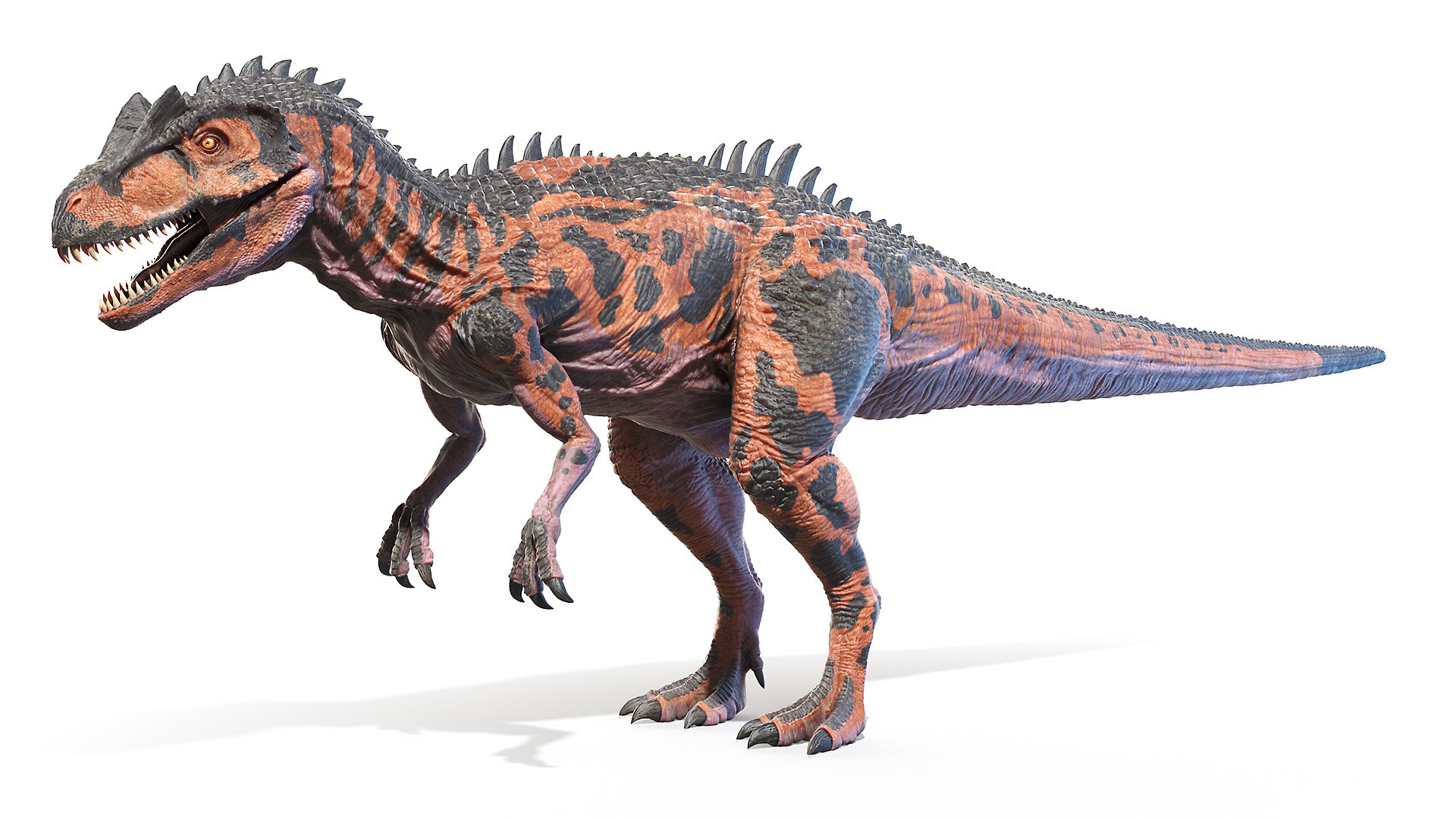 3D dinopack https://p.turbosquid.com/ts-thumb/Iq/aZWgbF/DP/allosaurus0001/jpg/1610549928/1920x1080/fit_q87/78c05b53bfd99699fec150bd3b00103f13cb8f39/allosaurus0001.jpg