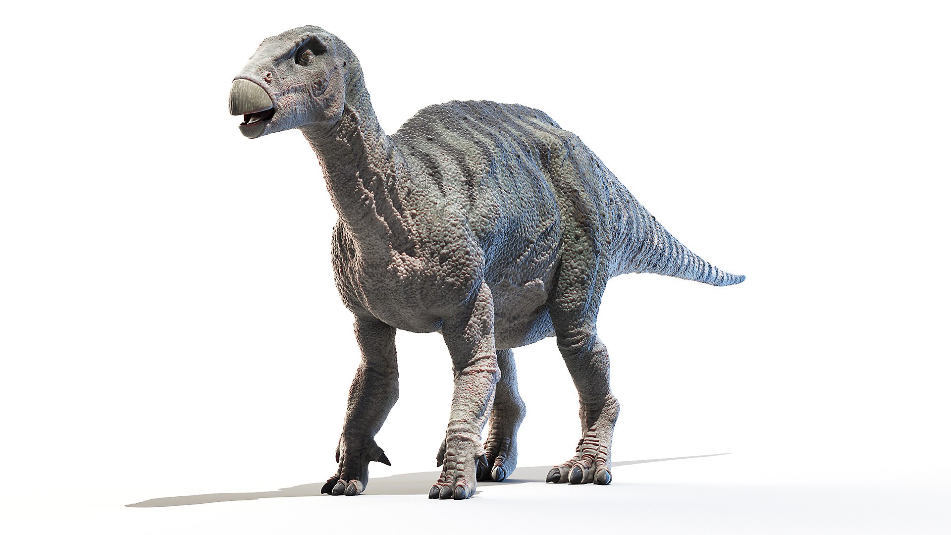 3D dinopack https://p.turbosquid.com/ts-thumb/Iq/aZWgbF/Hz/iguanodon0000/jpg/1610550631/1920x1080/fit_q87/da35820049fd71df440e3a6ceace9fe9ff4e52c7/iguanodon0000.jpg