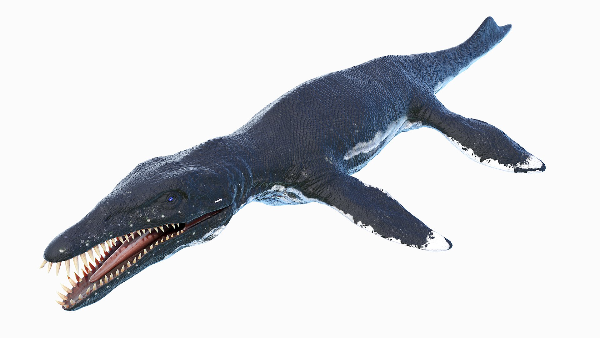 3D dinopack https://p.turbosquid.com/ts-thumb/Iq/aZWgbF/MA/liopleurodon0002/jpg/1610550664/1920x1080/fit_q87/68e9c480c8d8db8a3aa5d1584275014c9e07afe2/liopleurodon0002.jpg