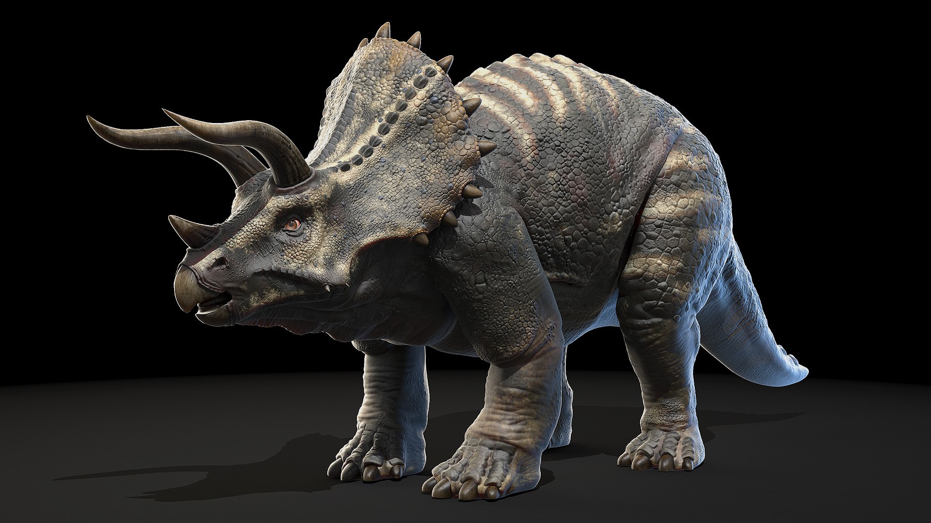 3D dinopack https://p.turbosquid.com/ts-thumb/Iq/aZWgbF/VU/triceratops0001/jpg/1610551057/1920x1080/fit_q87/3b38a11c8e134e823e9897c50f2631efdad1b8c3/triceratops0001.jpg