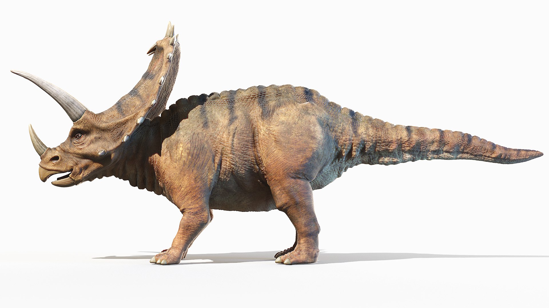 3D dinopack https://p.turbosquid.com/ts-thumb/Iq/aZWgbF/YN/pentaceratops0000/jpg/1610550808/1920x1080/fit_q87/894ed6dc69e515706032a342d60aa5c62074bf22/pentaceratops0000.jpg