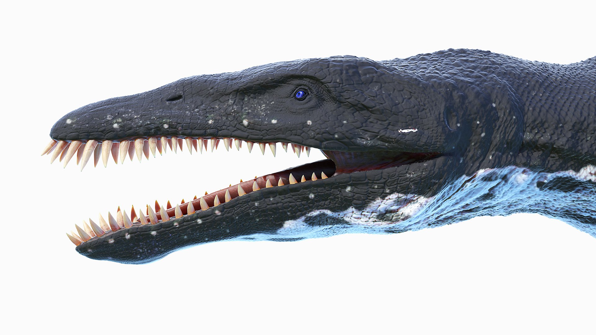 3D dinopack https://p.turbosquid.com/ts-thumb/Iq/aZWgbF/dy/liopleurodon0006/jpg/1610550656/1920x1080/fit_q87/cc20698f373aed63771d64627ddb86f87da7e20c/liopleurodon0006.jpg