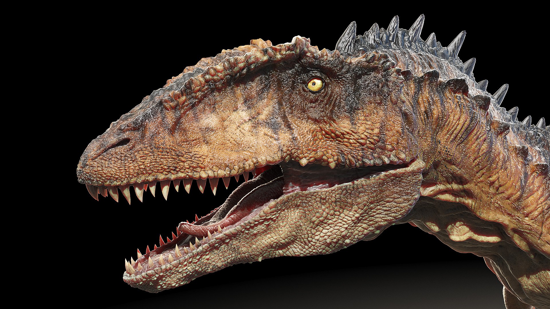 3D dinopack https://p.turbosquid.com/ts-thumb/Iq/aZWgbF/en/carcharodontosaurus0006/jpg/1610550041/1920x1080/fit_q87/4f48e5489939cefbda4714bace2d652744a68e8e/carcharodontosaurus0006.jpg