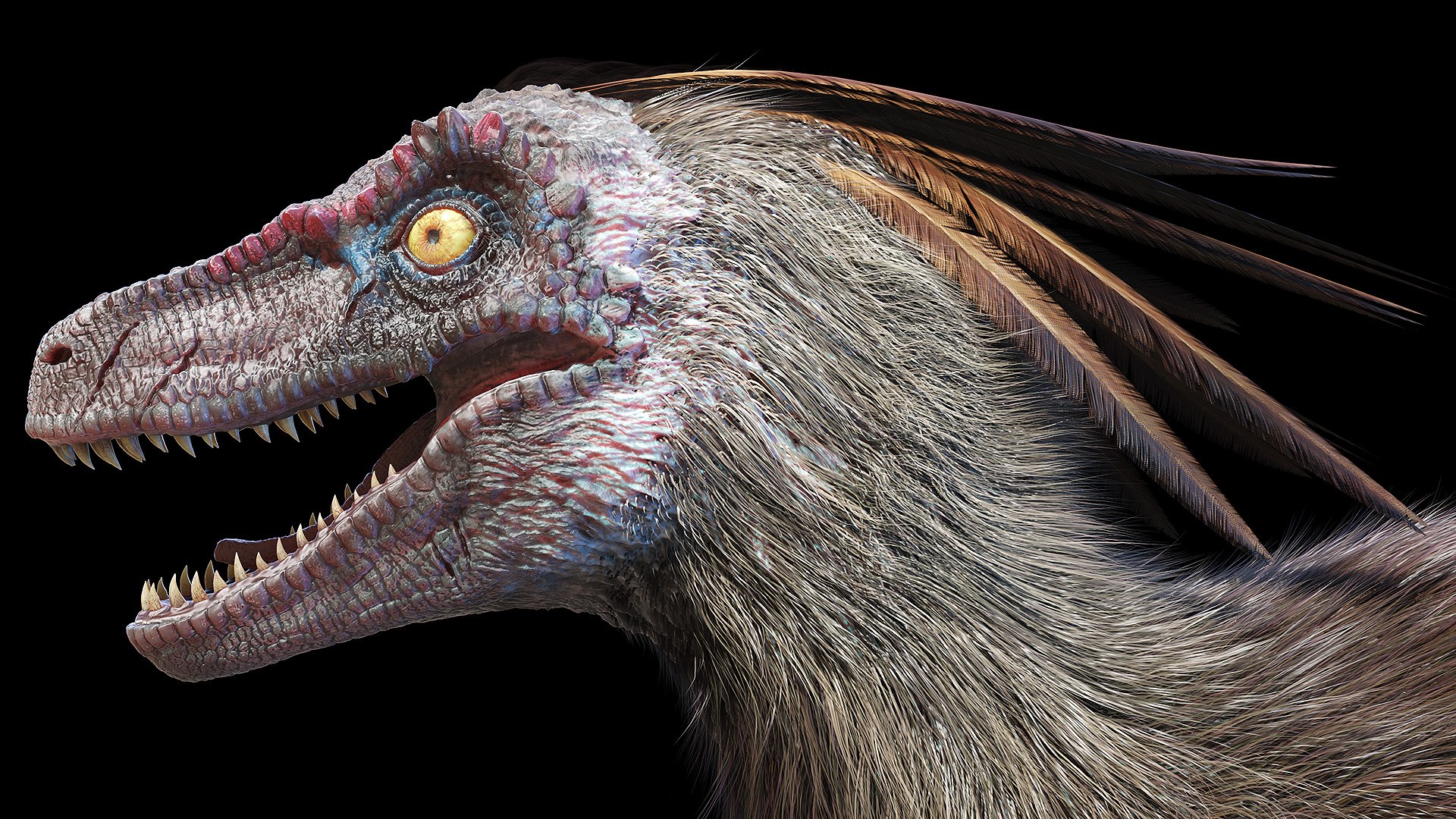 3D dinopack https://p.turbosquid.com/ts-thumb/Iq/aZWgbF/lW/velociraptor0006/jpg/1610551271/1920x1080/fit_q87/2041b7bfb800a7575a9b26c09e7330dc128874c2/velociraptor0006.jpg