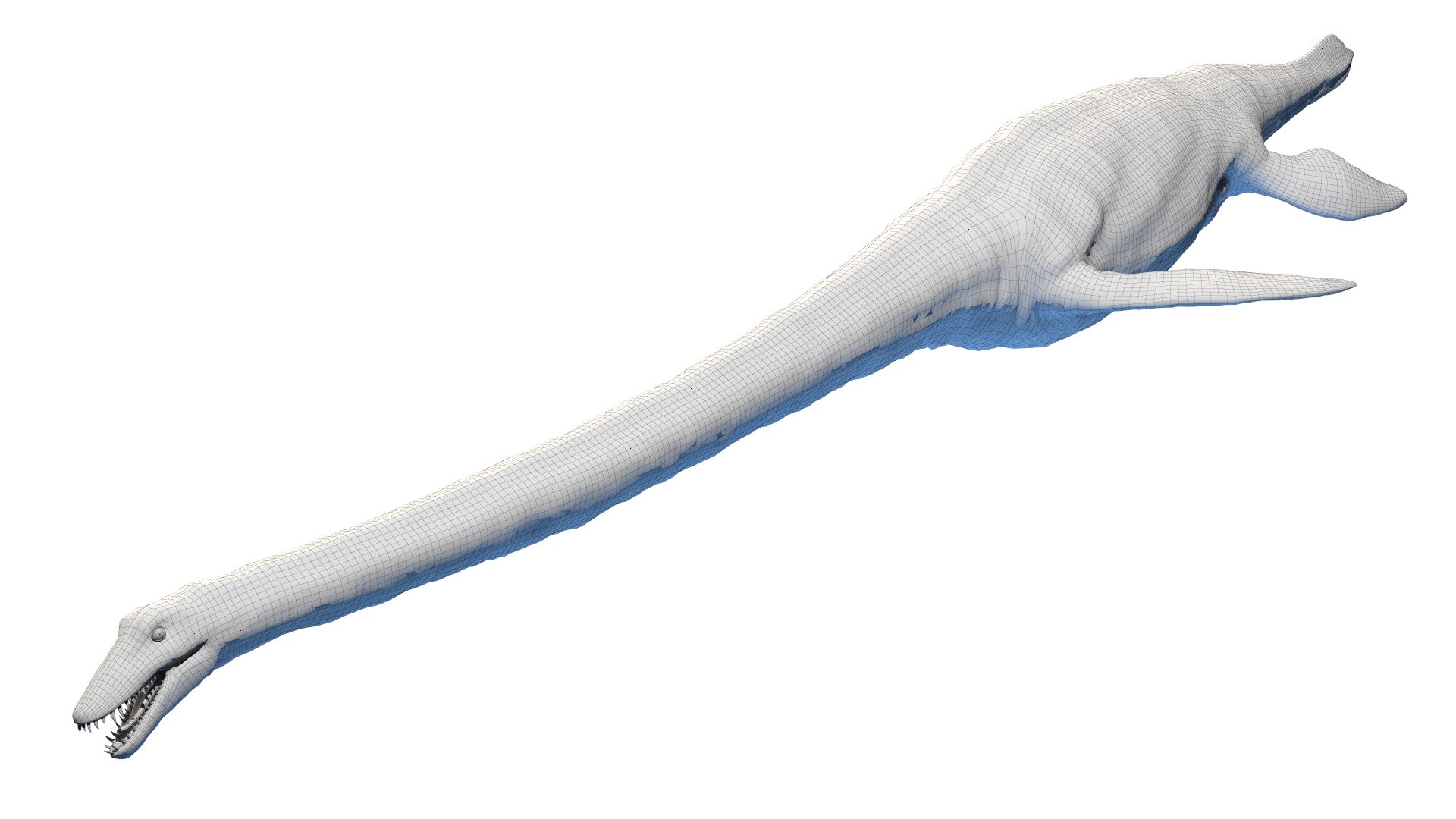 3D dinopack https://p.turbosquid.com/ts-thumb/Iq/aZWgbF/sn/elasmosaurus_wire0003/jpg/1610570679/1920x1080/fit_q87/bbeb977cf015cee5fc7dcf40cb9b499e0f4212b7/elasmosaurus_wire0003.jpg