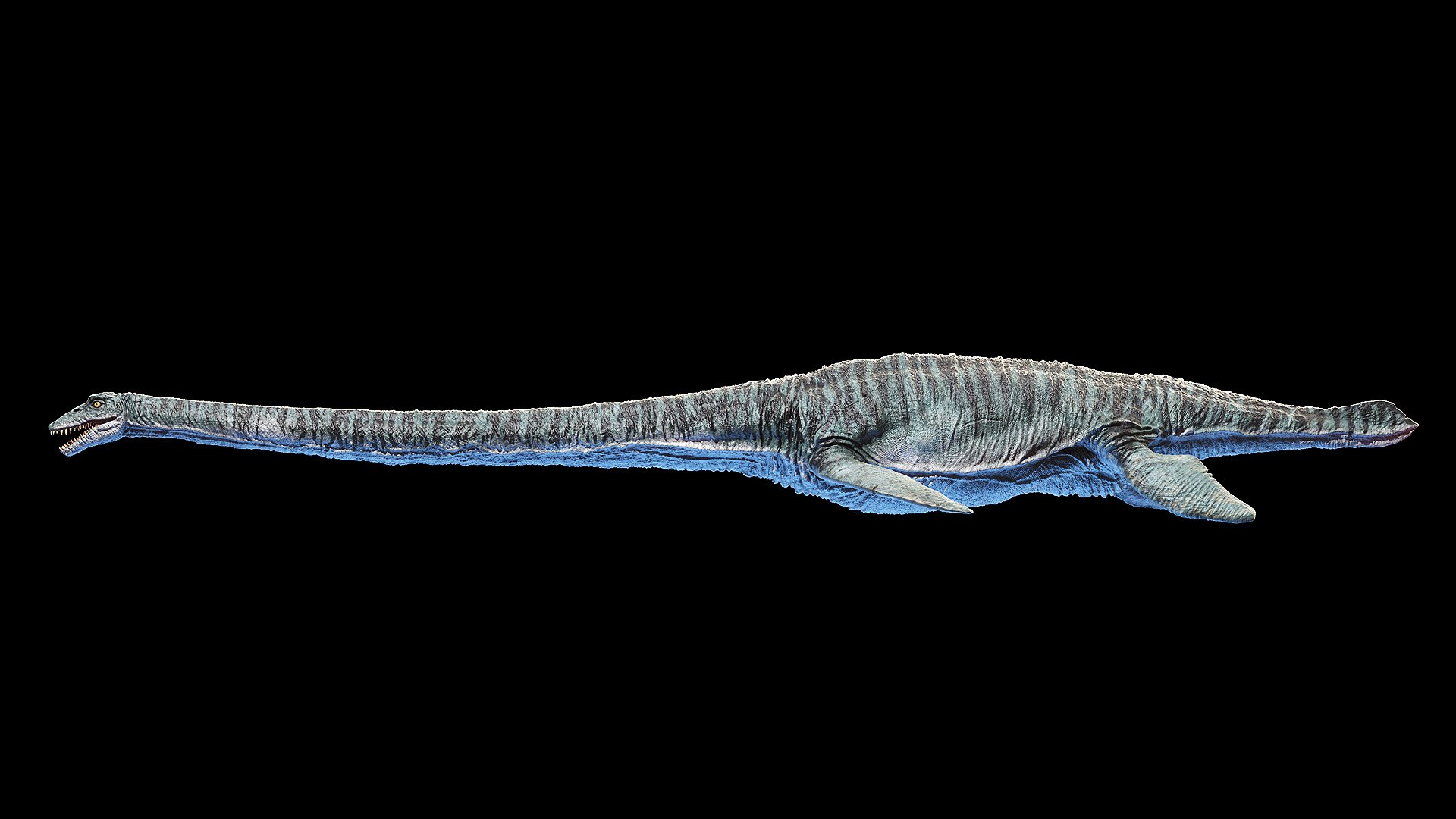 3D dinopack https://p.turbosquid.com/ts-thumb/Iq/aZWgbF/wD/elasmosaurus0001/jpg/1610550461/1920x1080/fit_q87/bbf83a40ad24d0147d946a1e32f4382255502e00/elasmosaurus0001.jpg