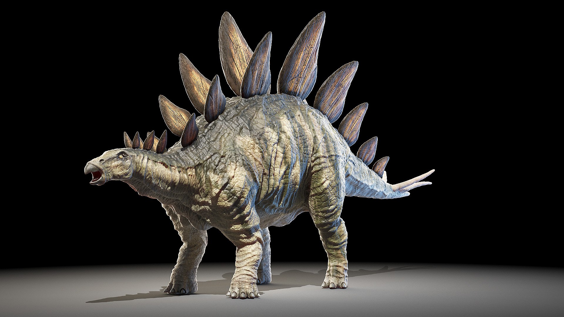 3D dinopack https://p.turbosquid.com/ts-thumb/Iq/aZWgbF/yW/stegosaurus0001/jpg/1610551018/1920x1080/fit_q87/d01be80f904079a2966668f98c184648e16128fd/stegosaurus0001.jpg