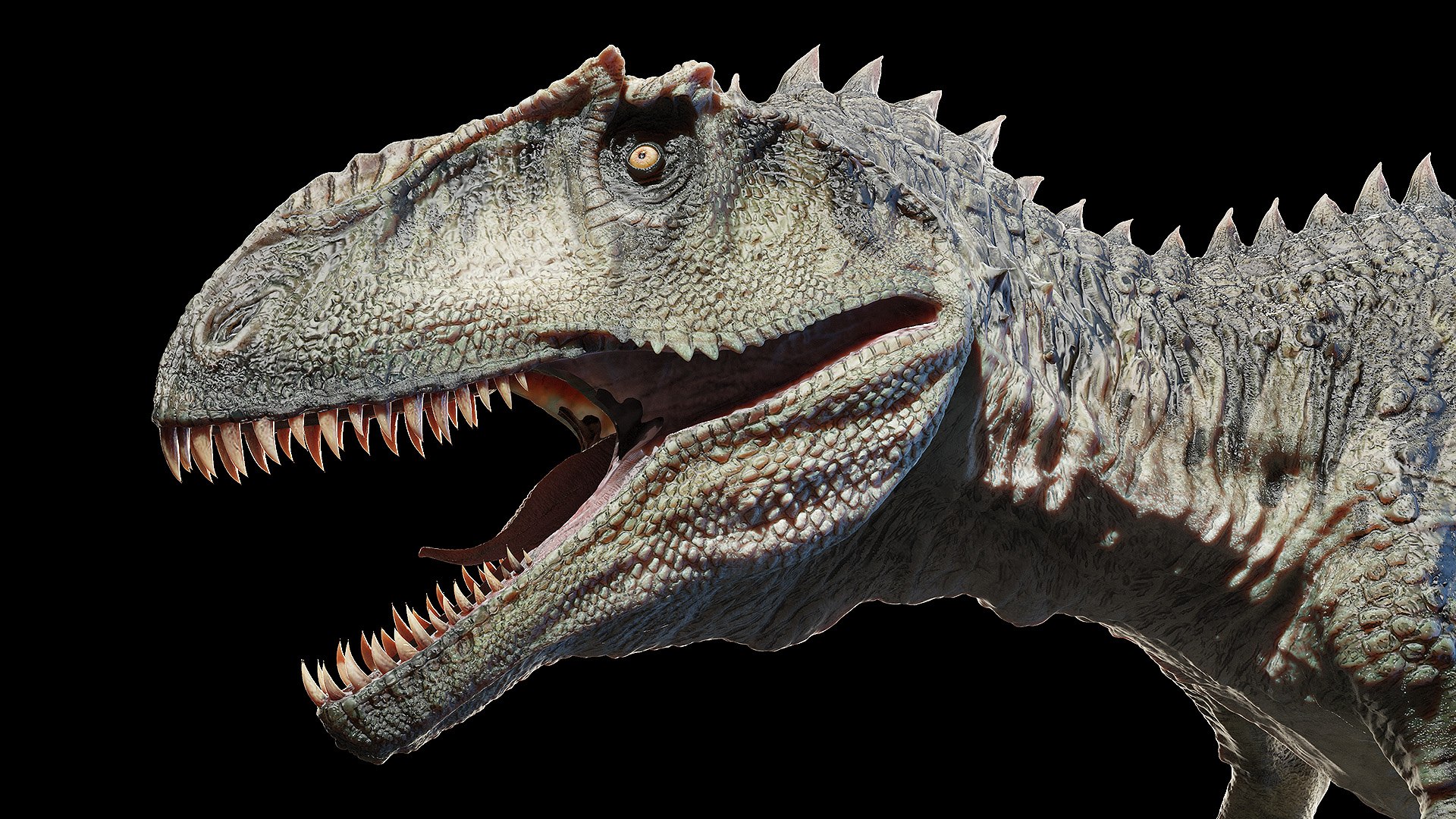 3D dinopack https://p.turbosquid.com/ts-thumb/Iq/aZWgbF/yt/giganotosaurus0006/jpg/1610550531/1920x1080/fit_q87/4b6016369f78a1da4f5f656357cad4fb8f934215/giganotosaurus0006.jpg