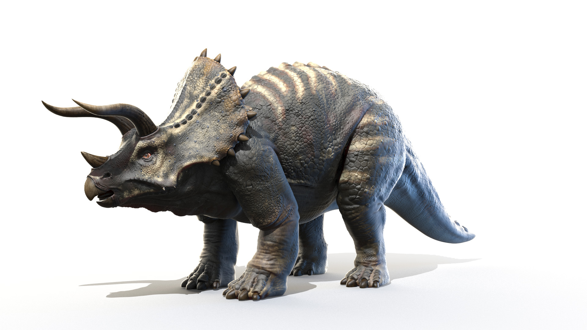 3D dinopack https://p.turbosquid.com/ts-thumb/Iq/aZWgbF/zI/triceratops_turntable/jpg/1610545349/1920x1080/turn_fit_q99/01a4d36b2833ae6fe6905f4ef03d5437de79bb45/triceratops_turntable-1.jpg