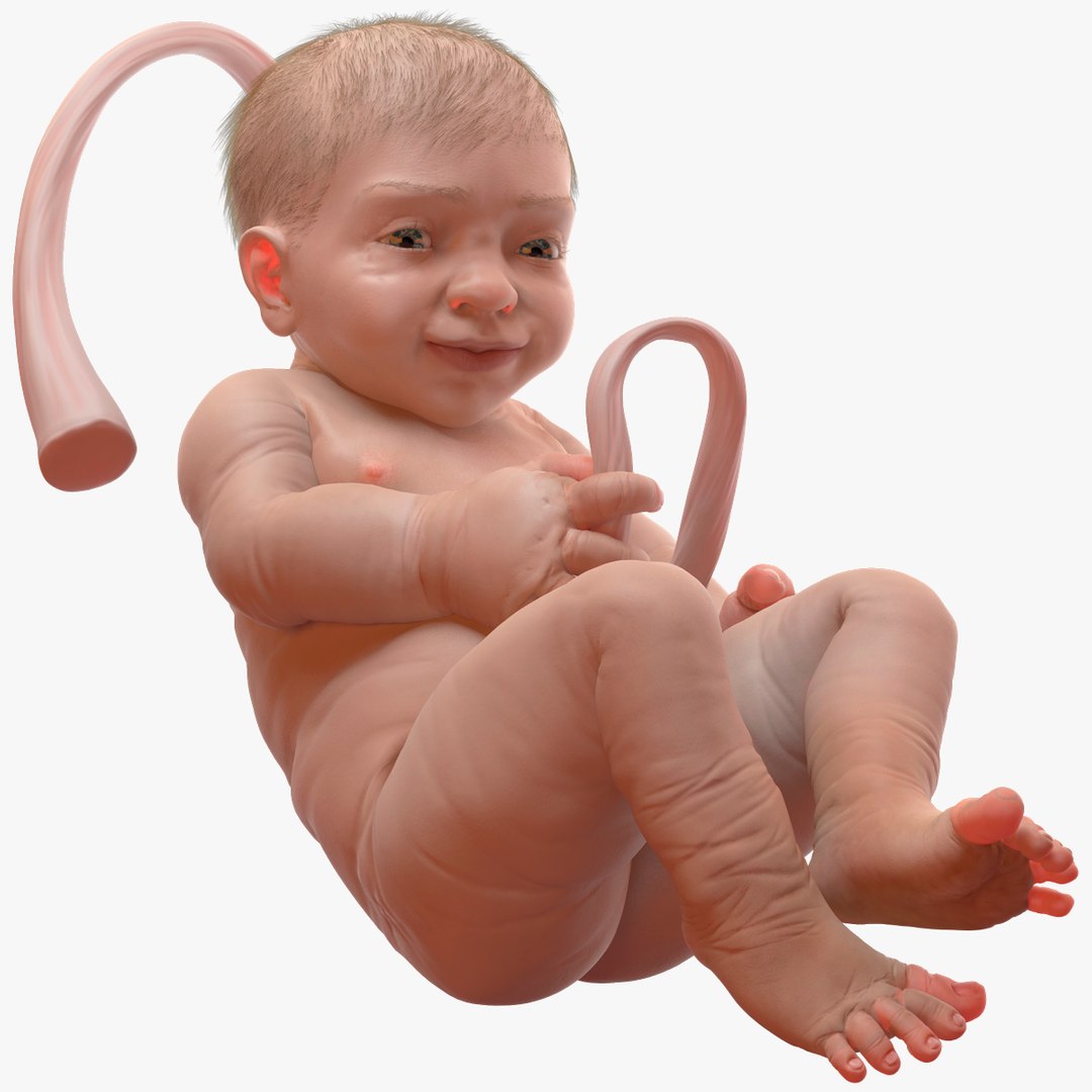 Baby Boy at 38 Weeks Fur Rigged 3D model preview