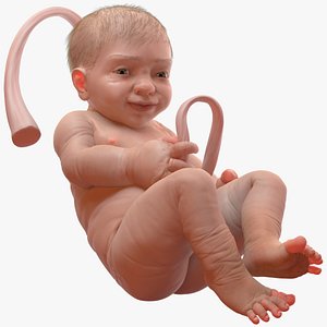 3D baby boy 38 weeks model