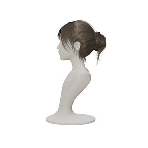 Real Woman Bun Hair 3D