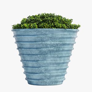 Potted plant (RS-27)