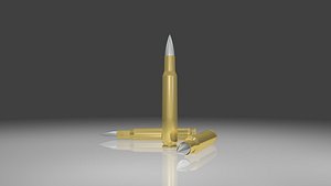 Paquete de municiones de escopeta calibre 12 Modelo 3D $10 - .fbx - Free3D