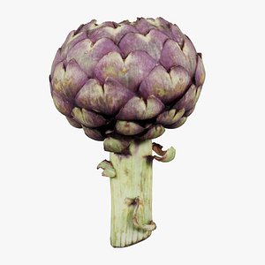 Artichokes Remastered 3D model