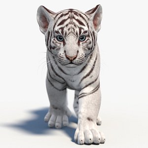 Animated White Tiger Cub 3D Model 3D model