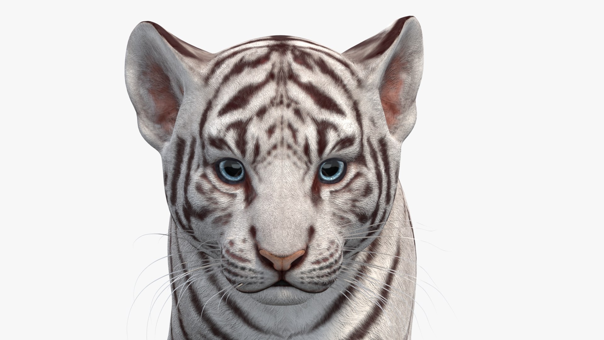 Animated White Tiger Cub 3D Model 3D Model - TurboSquid 2333138