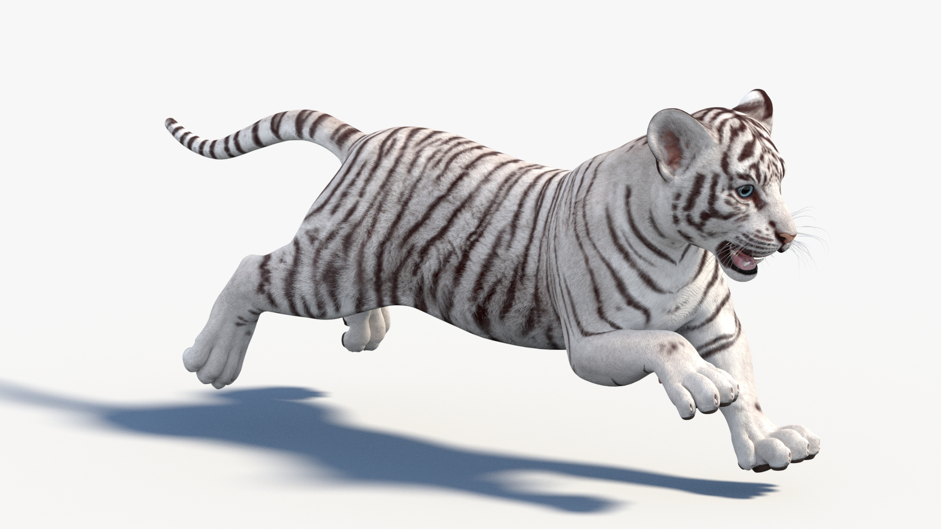 Animated White Tiger Cub 3D Model 3D Model - TurboSquid 2333138