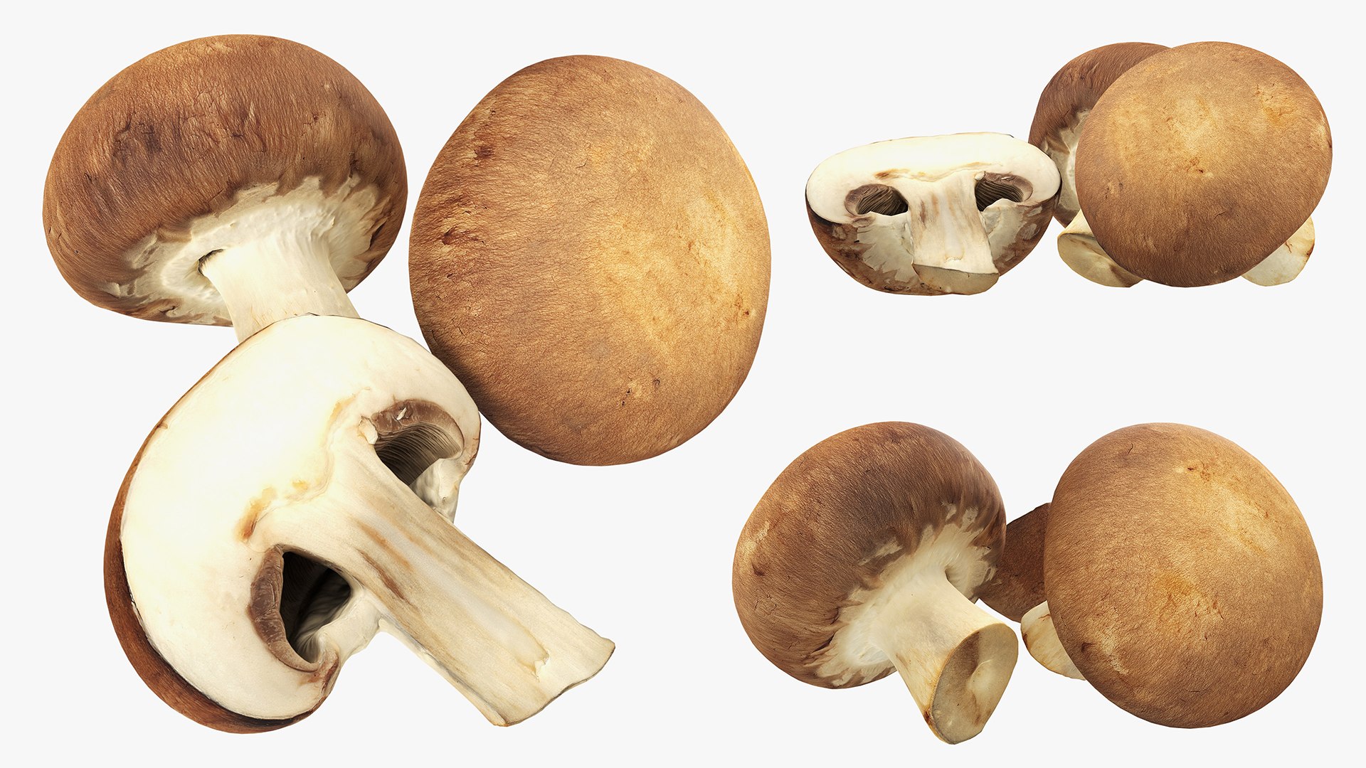 3D Photogrammetry Food Bundle 05 3D https://p.turbosquid.com/ts-thumb/Ir/Jn8tS0/ir/browncapmushrooms/jpg/1747654366/1920x1080/fit_q87/838a966f5874101d1654cad389b66fe217dd7a7c/browncapmushrooms.jpg