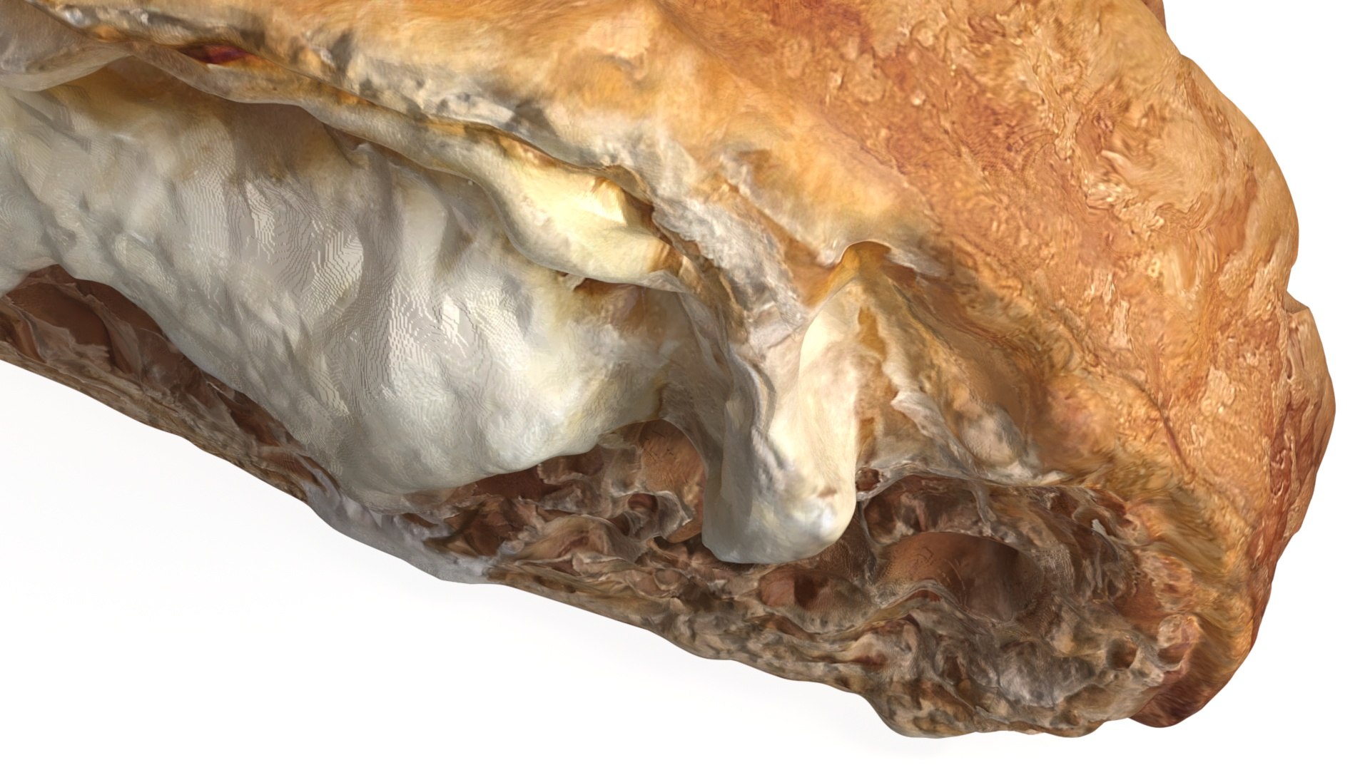 3D Split Croissant with Custard Inside https://p.turbosquid.com/ts-thumb/Ir/VSOlze/mE/split_croissant_with_custard_inside_005/jpg/1760639165/1920x1080/fit_q87/3a5f16ca38880d4da9855f59a3063eda854ed92e/split_croissant_with_custard_inside_005.jpg