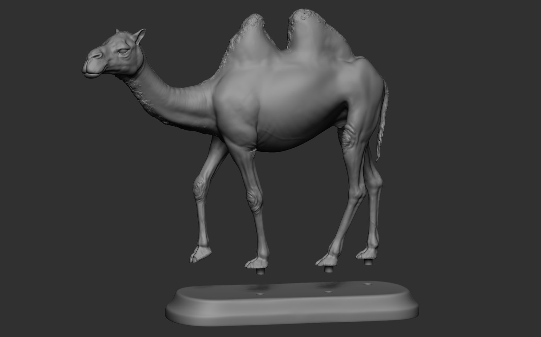 Camel 3D model https://p.turbosquid.com/ts-thumb/Ir/dLHc7S/6n/16/png/1659996207/1920x1080/fit_q87/fa92ba662e2e25962d53b0767c348a96103448c0/16.jpg