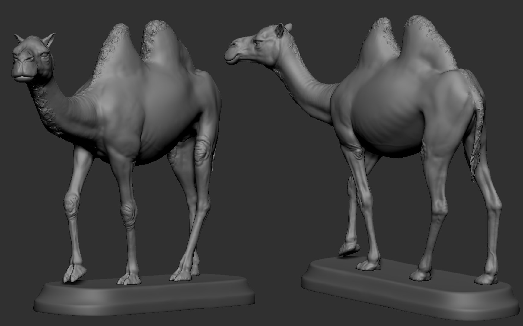 Camel 3D model https://p.turbosquid.com/ts-thumb/Ir/dLHc7S/9b/14/png/1659996200/1920x1080/fit_q87/6efaa9b431b07f104f0c3f7e219b5d342dca9d13/14.jpg