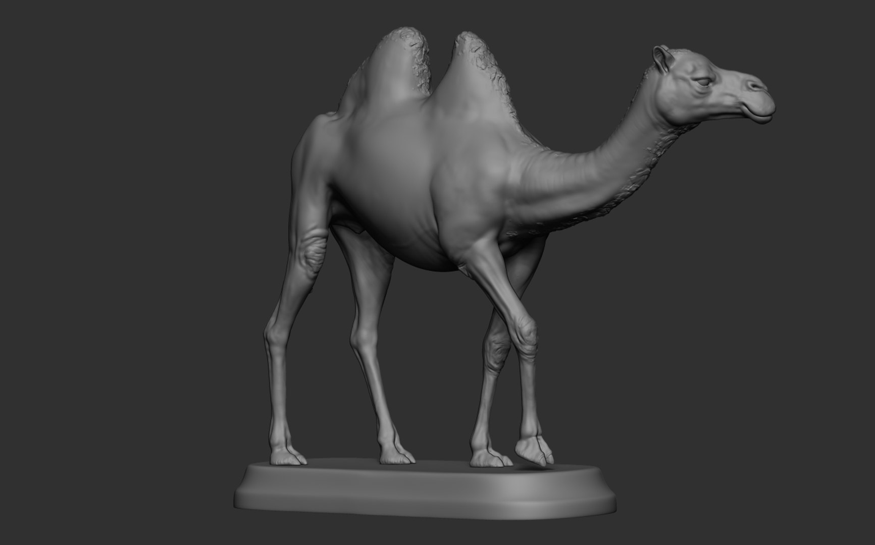 Camel 3D model https://p.turbosquid.com/ts-thumb/Ir/dLHc7S/A3/11/png/1659996192/1920x1080/fit_q87/fd926509dcfffcf2701d45e957c98d59479ae461/11.jpg