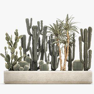 3D Cactus set in a concrete flowerpot for the interior 1096 model