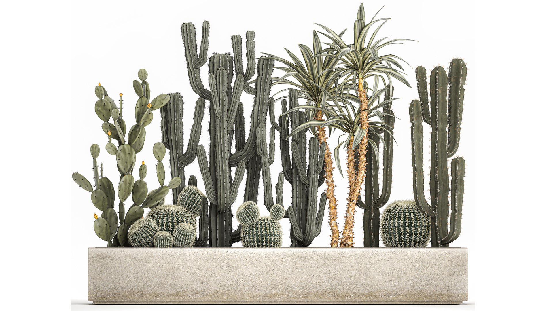 3D Cactus set in a concrete flowerpot for the interior 1096 model https://p.turbosquid.com/ts-thumb/Ir/sYk8RQ/7v/1cactusset1001202202/jpg/1641916052/1920x1080/fit_q87/c498ae7eeb82943637a047d5f564c975b3480641/1cactusset1001202202.jpg