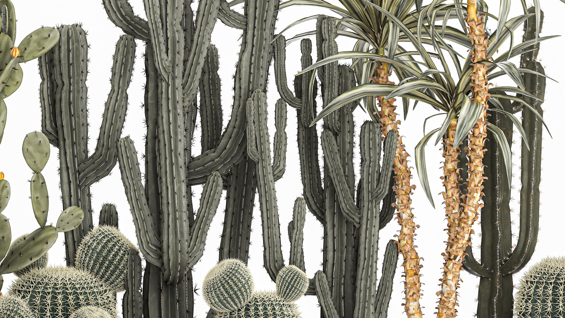 3D Cactus set in a concrete flowerpot for the interior 1096 model https://p.turbosquid.com/ts-thumb/Ir/sYk8RQ/An/1cactusset1001202204/jpg/1641916045/1920x1080/fit_q87/8117a1619fd702b8768c0610970d3f3dfe28e0dd/1cactusset1001202204.jpg