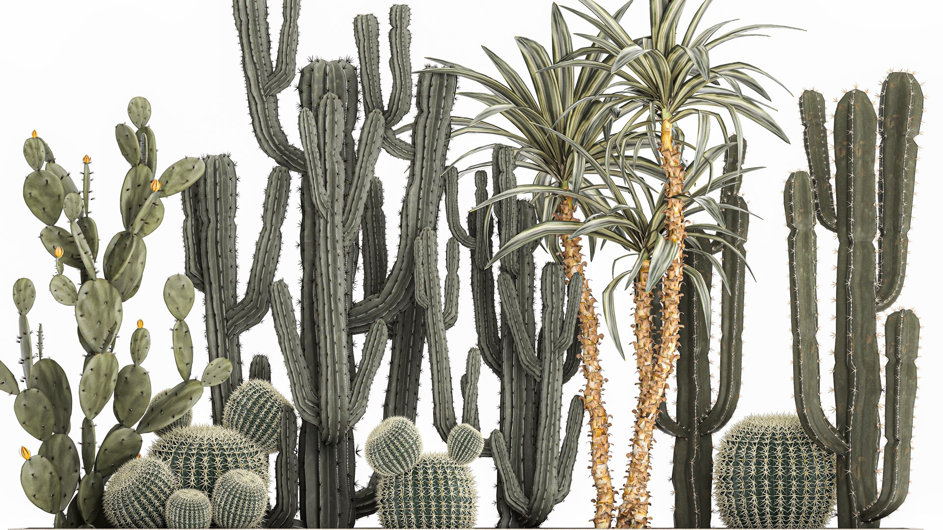 3D Cactus set in a concrete flowerpot for the interior 1096 model https://p.turbosquid.com/ts-thumb/Ir/sYk8RQ/Lx/1cactusset1001202203/jpg/1641916047/1920x1080/fit_q87/e95402211e38424013799705c80db0b970ae1f85/1cactusset1001202203.jpg
