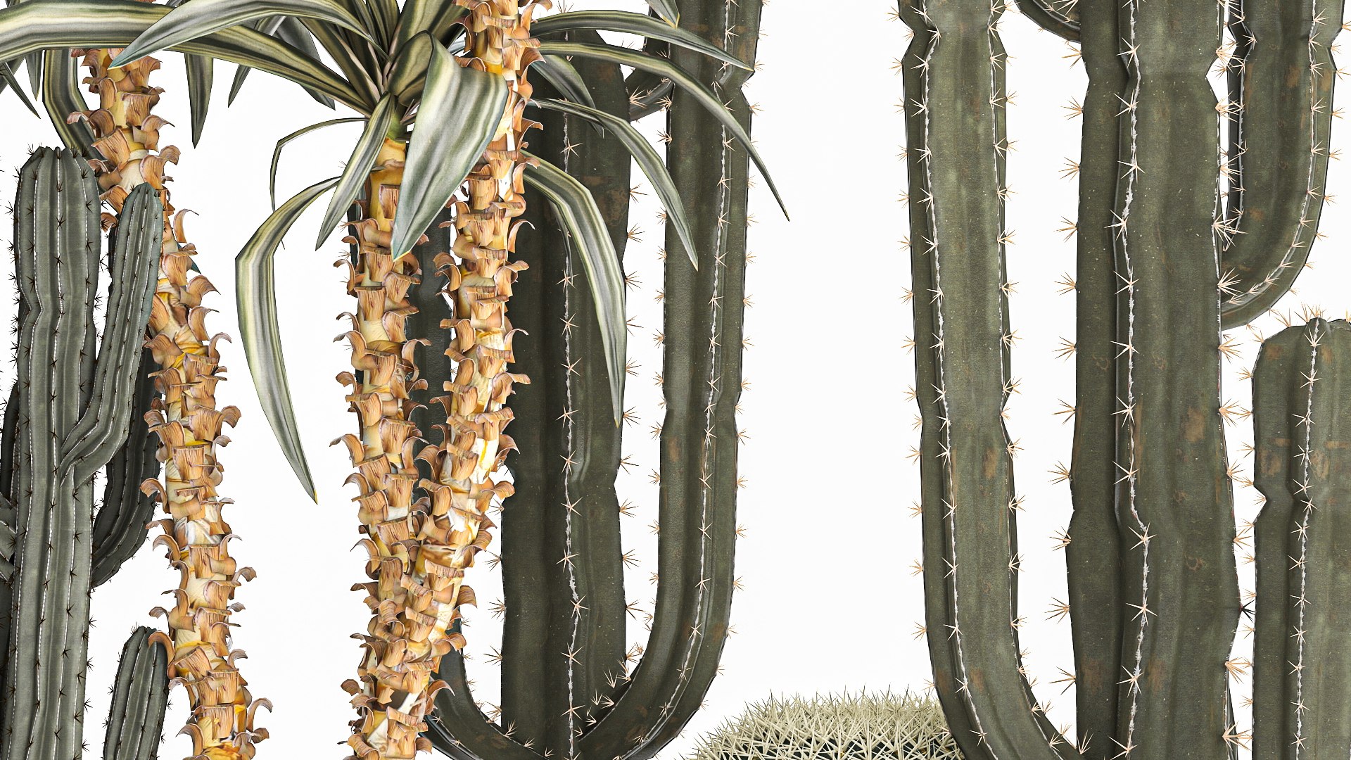 3D Cactus set in a concrete flowerpot for the interior 1096 model https://p.turbosquid.com/ts-thumb/Ir/sYk8RQ/NR/1cactusset1001202206/jpg/1641916051/1920x1080/fit_q87/260859455465e7f72754ec6bdeef04764fba58f2/1cactusset1001202206.jpg