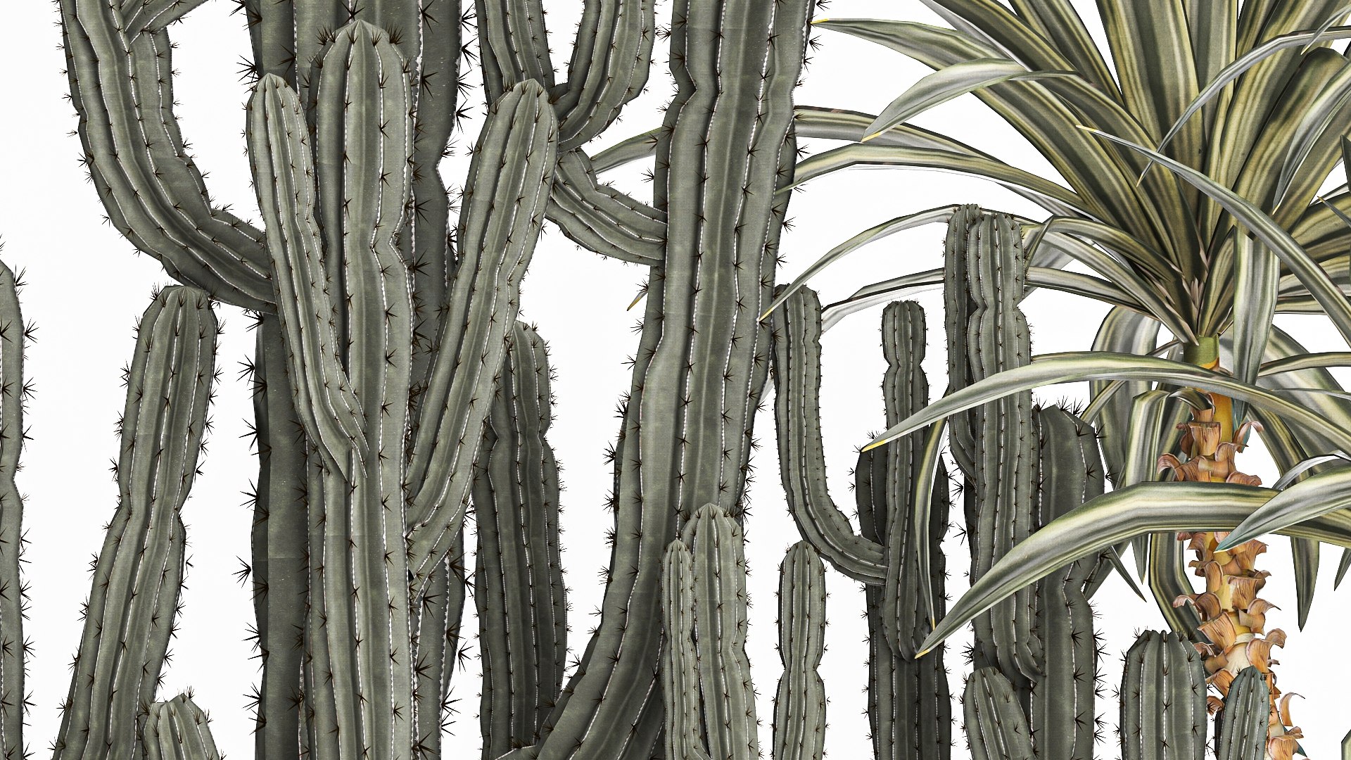 3D Cactus set in a concrete flowerpot for the interior 1096 model https://p.turbosquid.com/ts-thumb/Ir/sYk8RQ/en/1cactusset1001202207/jpg/1641916048/1920x1080/fit_q87/985369c2d5b2f85711b3f1fcfa81011120ebd8fd/1cactusset1001202207.jpg