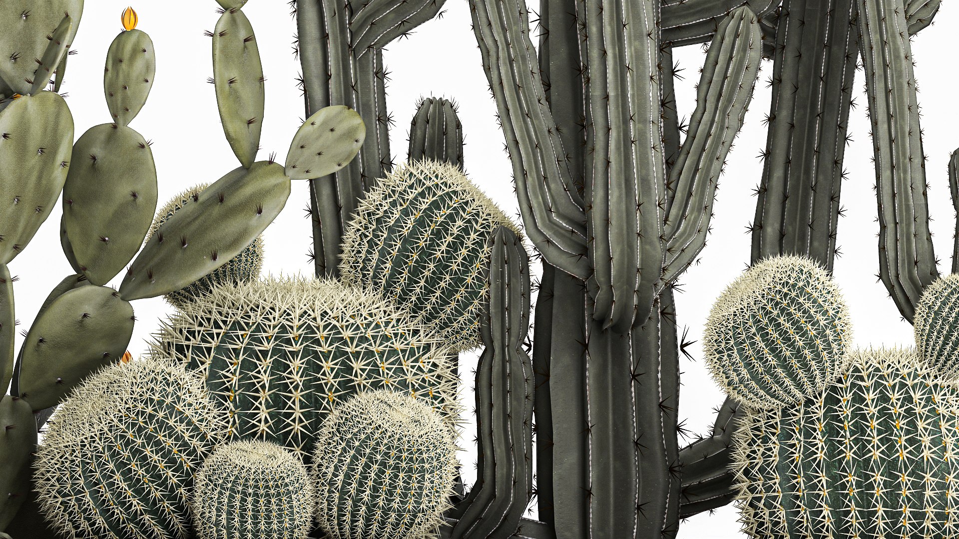 3D Cactus set in a concrete flowerpot for the interior 1096 model https://p.turbosquid.com/ts-thumb/Ir/sYk8RQ/fj/1cactusset1001202205/jpg/1641916050/1920x1080/fit_q87/e3943371dbbe720724fd4752ee79030ada13020a/1cactusset1001202205.jpg