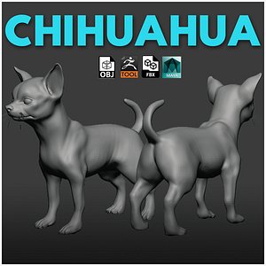 3D chihuahuaDog
