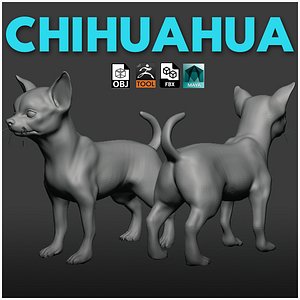 chihuahuaDog