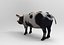 Schwein Modell
