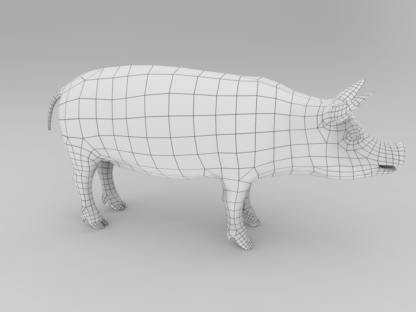 max pig animals mammal https://p.turbosquid.com/ts-thumb/Ir/w9azGy/Gfc3wTnZ/pig.507/jpg/1485076927/1920x1080/fit_q87/e2d02757848231d38c74553d551a8de286d08d28/pig.507.jpg