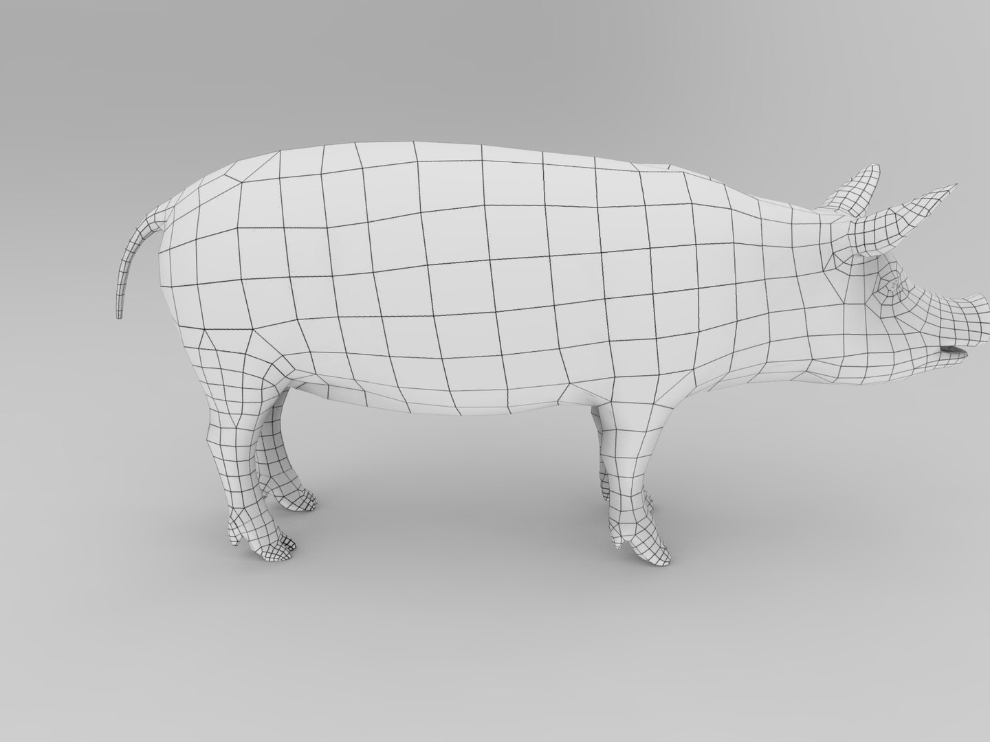 max pig animals mammal https://p.turbosquid.com/ts-thumb/Ir/w9azGy/K5464xo3/pig.506/jpg/1485076927/1920x1080/fit_q87/801ff4c9192a81ecc7a6544e12ff578f5c519b81/pig.506.jpg