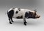 Schwein Modell