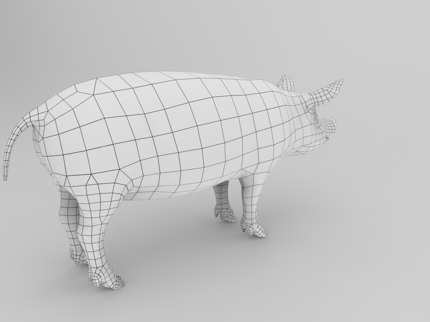 max pig animals mammal https://p.turbosquid.com/ts-thumb/Ir/w9azGy/la4XMFpl/pig.504/jpg/1485076927/1920x1080/fit_q87/fc8f05d98e845f95885e80d43fa807161c1a510c/pig.504.jpg