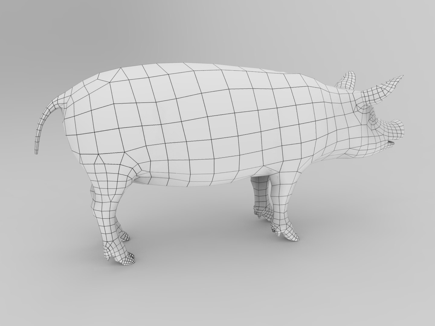 max pig animals mammal https://p.turbosquid.com/ts-thumb/Ir/w9azGy/spzGyCT9/pig.505/jpg/1485076927/1920x1080/fit_q87/fd172cd6df32dc667c43518bb3225f2a0fc3eb39/pig.505.jpg